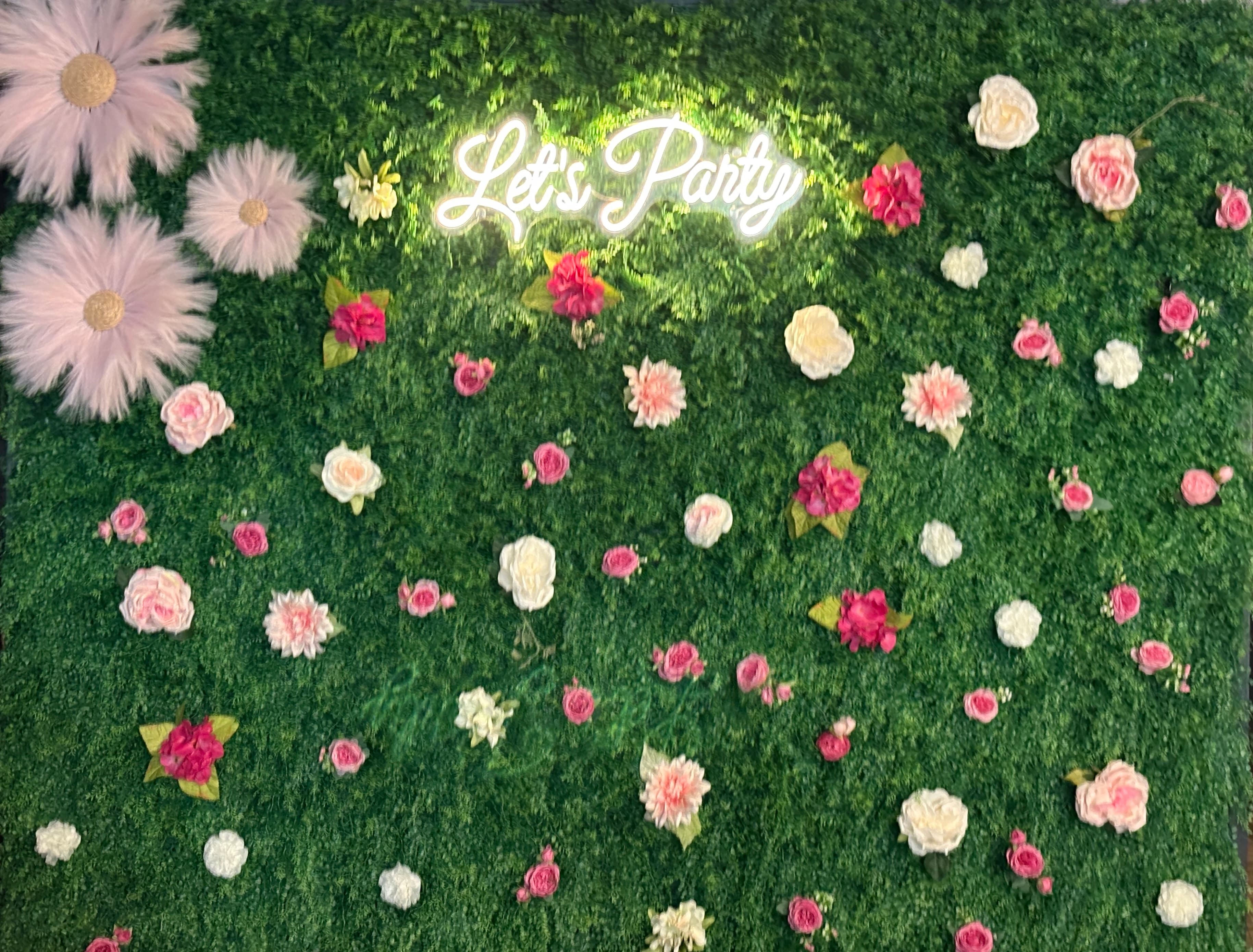 1774517649337 IMG 4700 oULjO9EX27we9esavp5hLwrb12qEMA